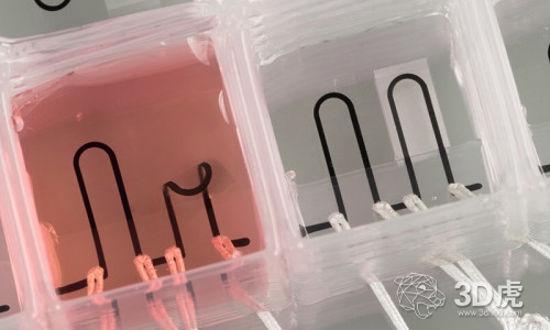 哈佛推出让药物临床研究更快更安全的生物3D打印芯片
