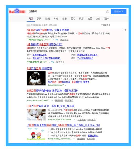 说明: 图2：知名搜索引擎的搜索结果