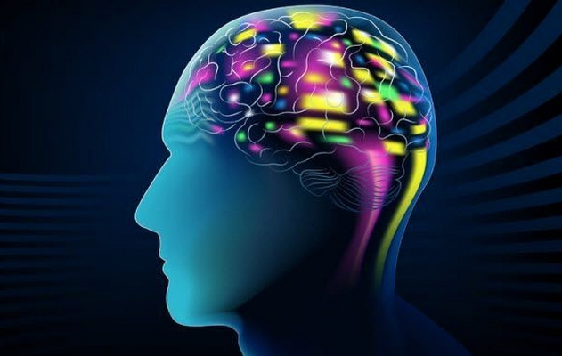 荷兰完成全球首例实用大脑植入手术，心灵感应有望成为现实