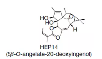 Nature子刊：这个源自大戟的小分子为何有望治疗溶酶体病？