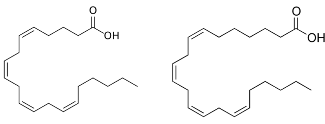 Nature子刊：能杀死癌细胞的“铁死亡”疗法是怎么一回事？