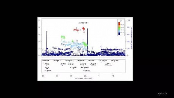 【视频】陈钢：作为一个科学家，我为什么要死磕香菜和基因的关系？|界面新闻oJMedia