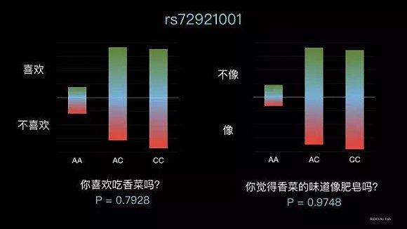 【视频】陈钢：作为一个科学家，我为什么要死磕香菜和基因的关系？|界面新闻oJMedia