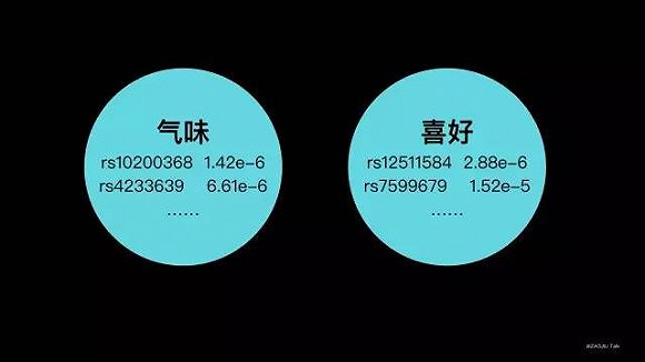【视频】陈钢：作为一个科学家，我为什么要死磕香菜和基因的关系？|界面新闻oJMedia