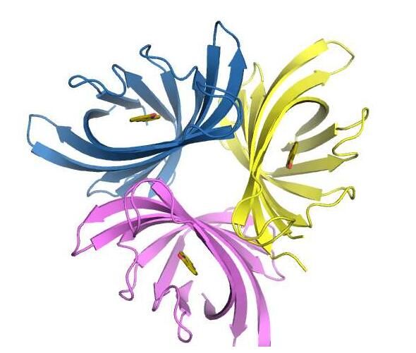 Science：科学家成功实现从土壤中寻求治疗耐药性细菌感染的良方