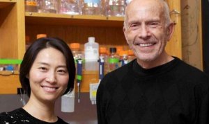 PNAS：古老酶类“摇身一变”在人体中实现新功能