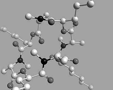 大环生物分子快速合成有新法