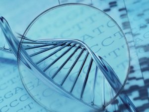 华夏基因携手台湾耀麒科技等两岸企业 打造中国基因生物产业圈