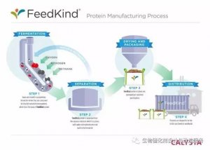 Calysta与嘉吉联手打造全球最大甲烷基饲料蛋白发酵工厂