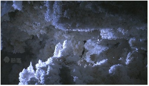 新发现：4万岁的超级细菌