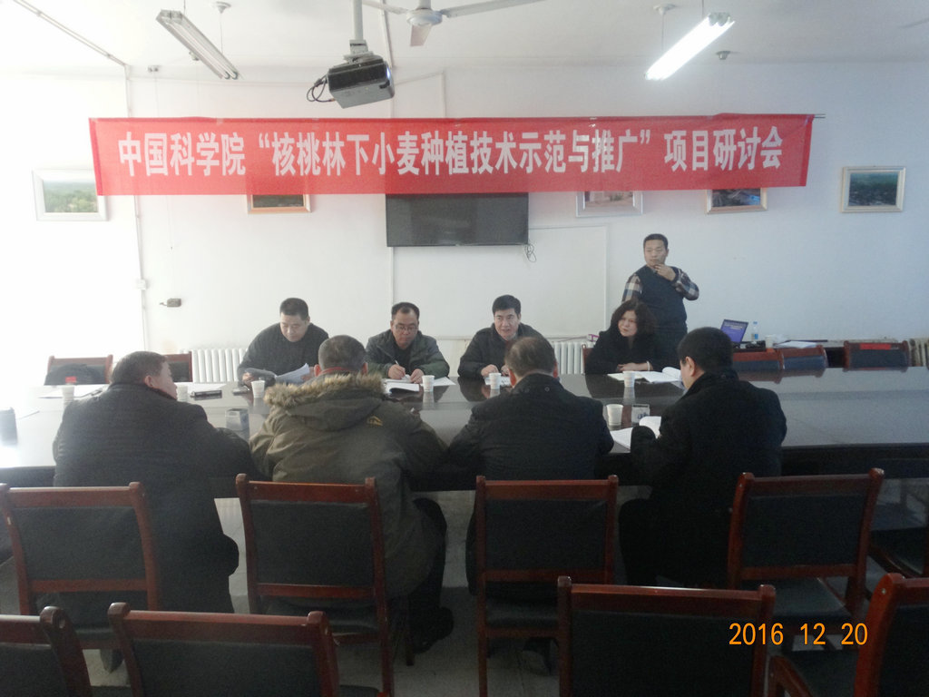 耐盐小麦高产栽培的试验示范项目通过验收