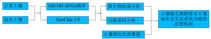 退化土壤中微生物类群和功能基因的研究