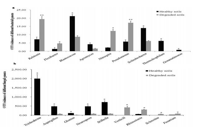 退化土壤中微生物类群和功能基因的研究