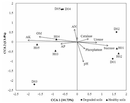 退化土壤中微生物类群和功能基因的研究