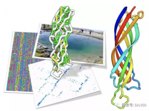 Science：寻找宏基因组序列结构