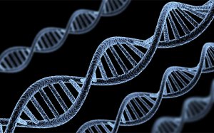 PNAS：基因影响教育和子女数量！我们会越来越 “笨”？