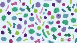Cell 子刊：鉴定人体微生物组功能的新方法