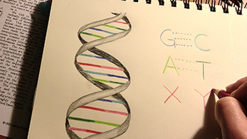 人工合成DNA创造“全新微生物”