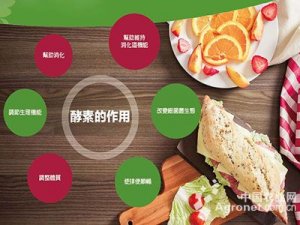 加快生物酵素技术产业化应用