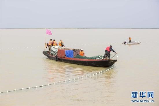 我国再次启动长江江豚迁地保护计划