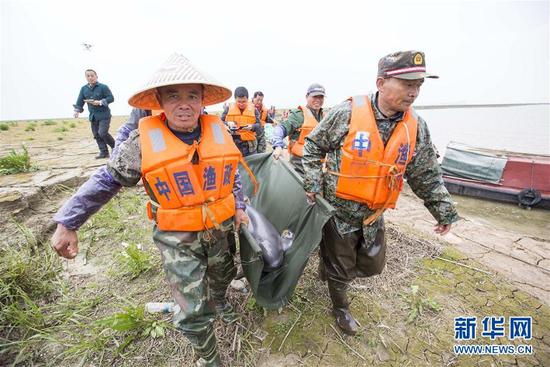 我国再次启动长江江豚迁地保护计划