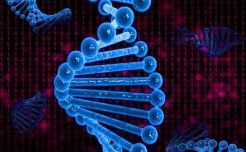 新方法通过检测 DNA 突变，可以告诉我们谁可能有发展早期癌症