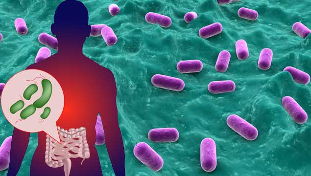 Nature深度好文：癌症免疫疗法 “新燃料”——微生物群！