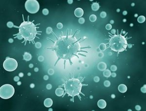 微生物技术驱动生态养殖：产业与环境的共赢之路