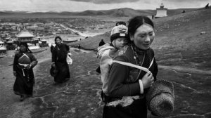 迄今最大规模基因组样本分析发现突变让中国藏族人适应高原生活
