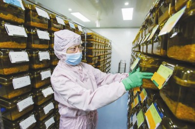 上海科学家发起领衔大科学计划