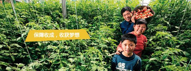 拜耳公司深度报告：从染料制造商到全球农业研发巨头