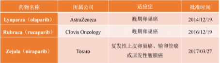 资本热捧，CRISPR 加持，协同致死效应成为抗癌新药研发的一匹黑马