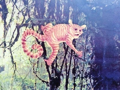 全球首发中国科学家绘制的曙猿复原图