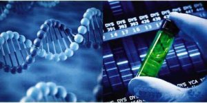生物刺激剂：下一片农资蓝海？