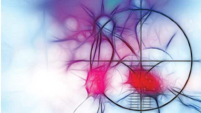 Nature重要成果：对抗癌细胞自我复制的分子奥秘