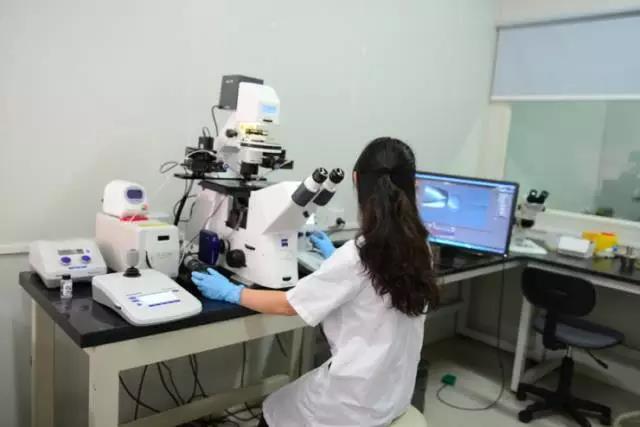 华西医院魏于全院士：生物治疗为癌症治疗带来新希望