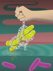 口服抗体有效预防肠道疾病，Nature最新研究揭示