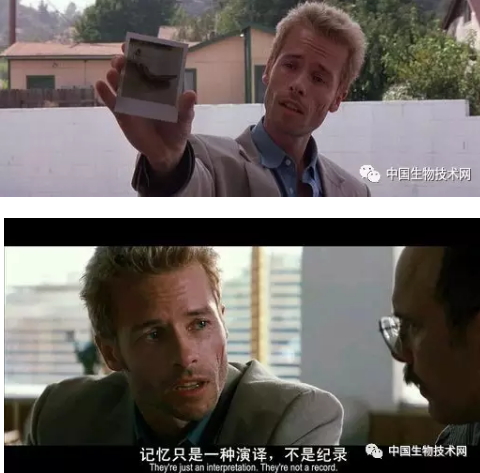 Science：记忆碎片是真的吗？