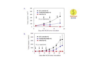 抗PD-1 单抗hAb21在PD-1人源化小鼠移植肿瘤模型中测试结果 PD-1基因人源化纯合子小鼠(基因背景为C57BL/6) 背部皮下接种数量约为1 x106的同源的小鼠结肠癌细胞MC38，待接种的肿瘤体积长至米粒大小时（约50mm3，接种后第6天），将动物随机分为3组（每组6只），分别在接种后第6, 10, 13及 17 天腹腔注射200 ug抗PD-1单抗pembrolizumab, hAb21 单抗或生理盐水。其中图A为接种肿瘤的生长早期曲线; 图B为接种肿瘤的生长全程曲线。