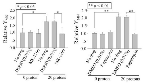合肥研究院细胞质辐射诱导的旁效应研究获进展