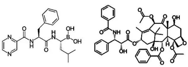 Science 子刊：癌细胞抗药性竟能传染！