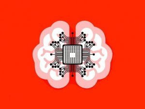 将大脑比作计算机，正在阻碍脑科学研究