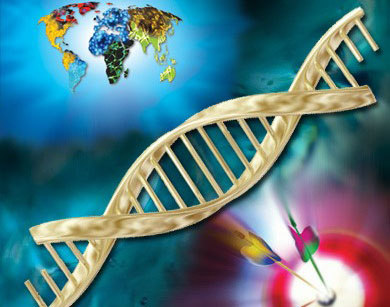 biodiscover1376554794.1771168.jpg