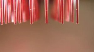 骗局终逆转！一家英国独角兽的“苹果式”迅速崛起之路