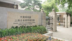 上海生科院揭示静电作用介导Src家族激酶底物选择性的分子机制