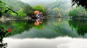 国家基因库深圳市仙湖植物园活体库揭牌