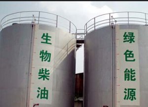 马能满足菲生物柴油需求