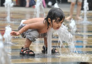 基因与味觉关系很大 水土气候等造就“南甜北咸”