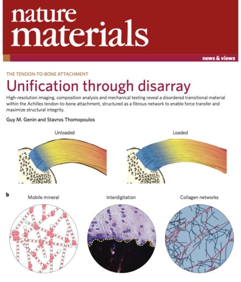 西安交大生物学者在Nature Materials上发表评述文章