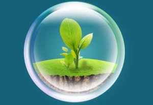 微生物肥料的分类及功效特点